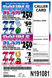 double slam 1020