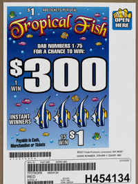 TROPICAL FISH 480